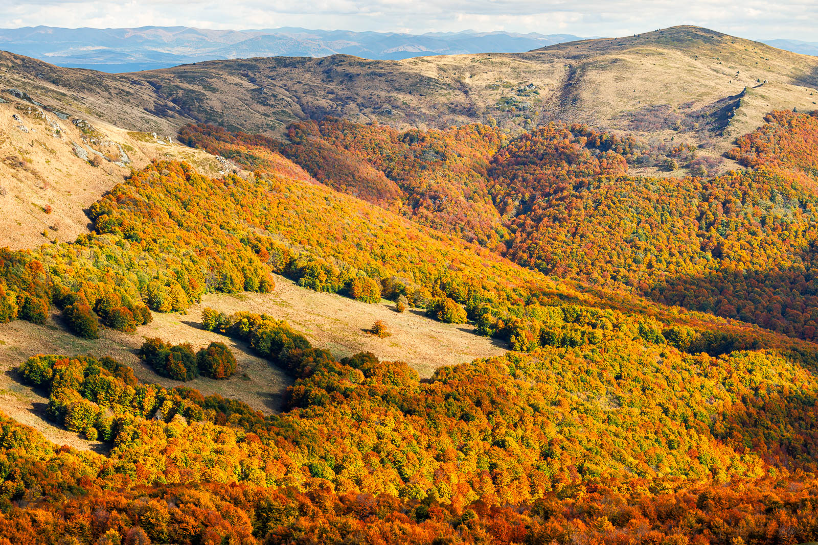 Bieszczady 2024